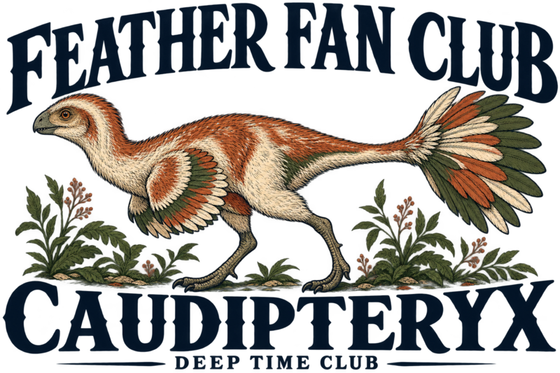 Close view of the original Feather Fan Club Caudipteryx Tee graphic