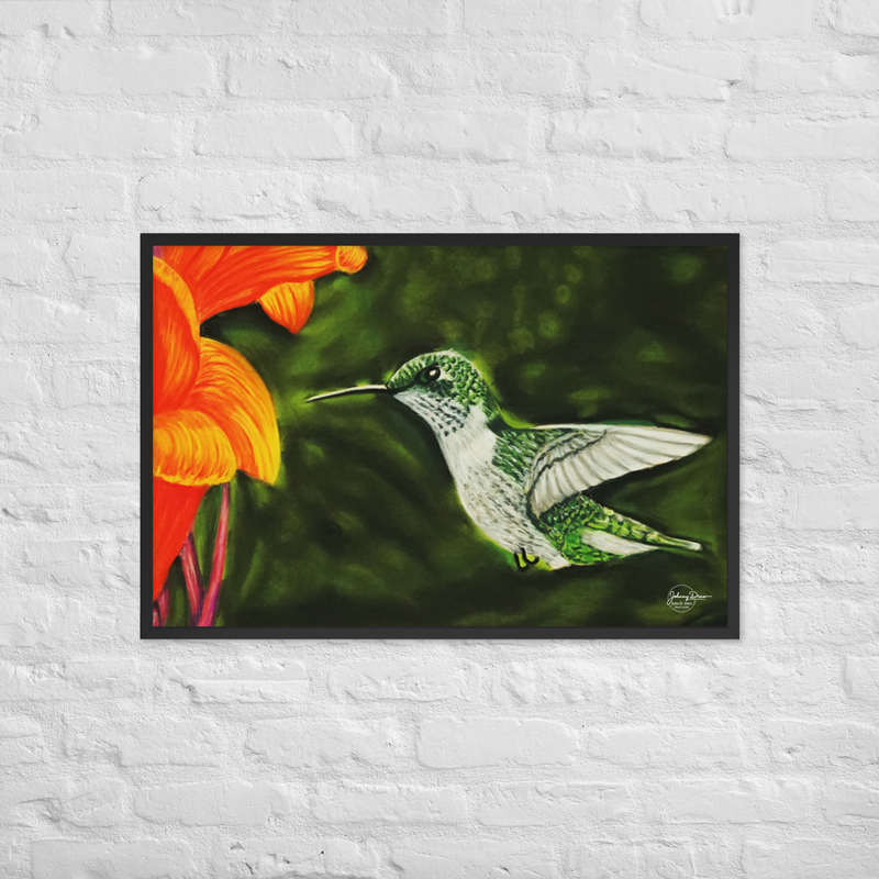 Hummingbird 1 Framed Print – Image 4