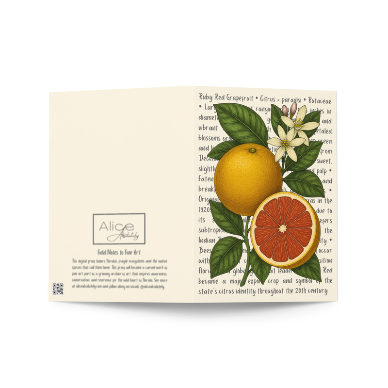 Ruby Red Grapefruit Greeting Card