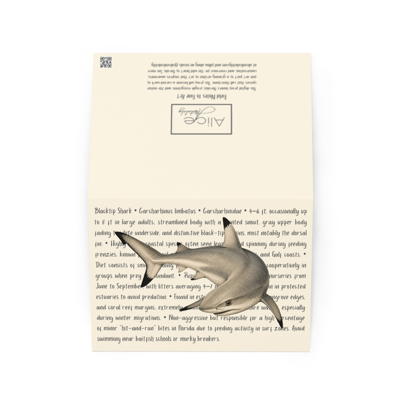 Blacktip Shark Greeting Card