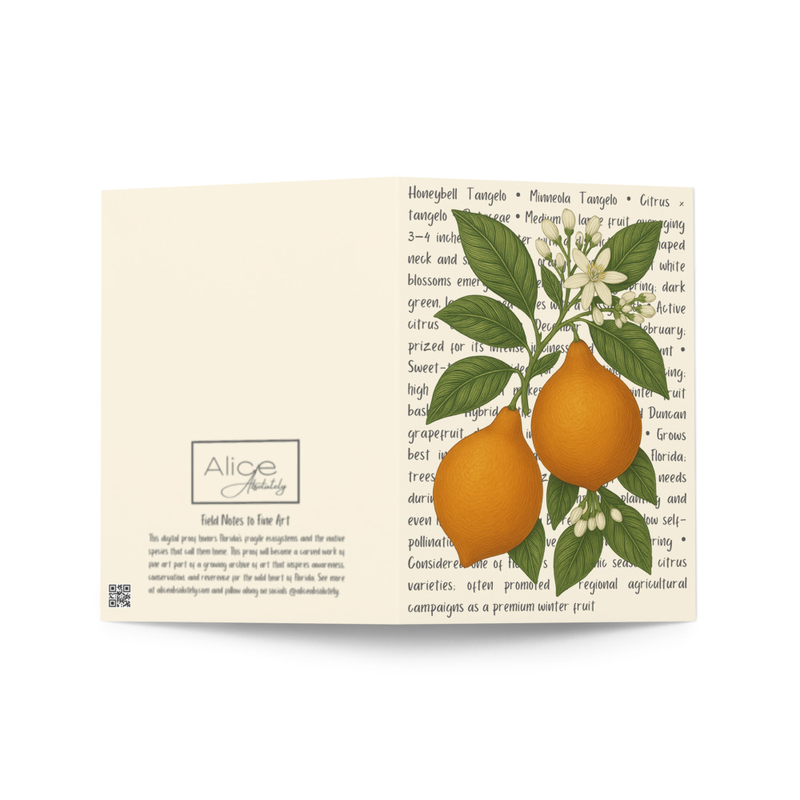 Honeybell Tangelo Greeting Card