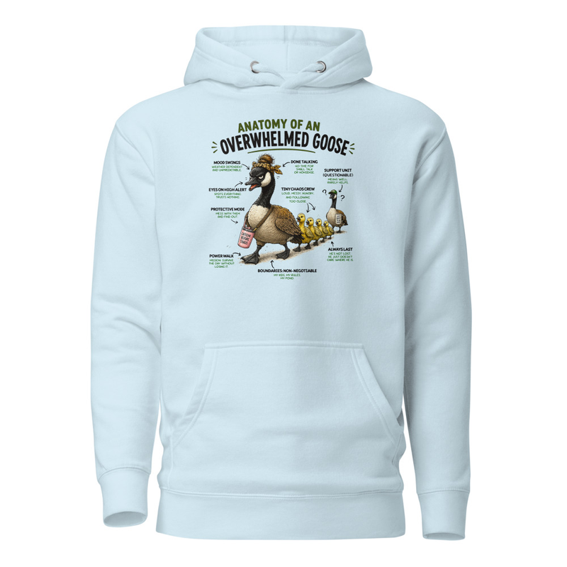 unisex-premium-pullover-hoodie-sky-blue-front-69f74abd91691.jpg