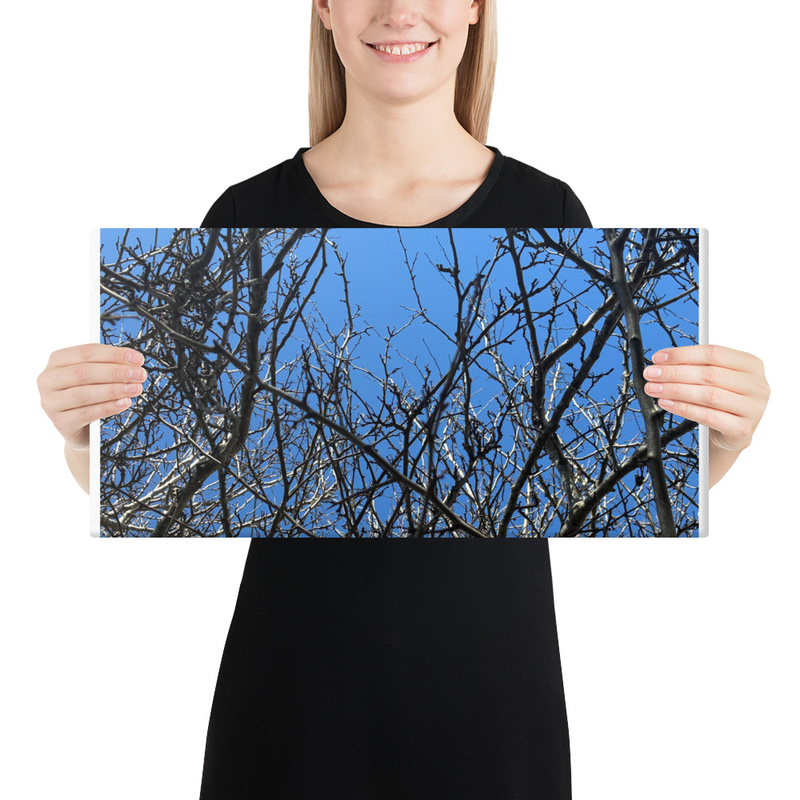 Branching Thoughts Canvas Print