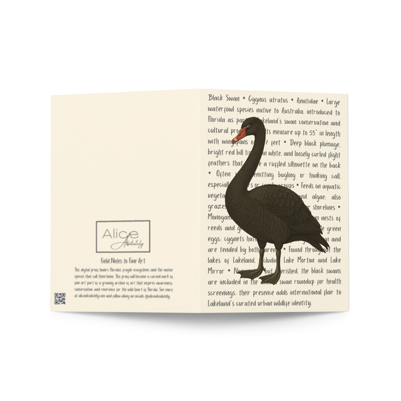 Black Swan Greeting Card