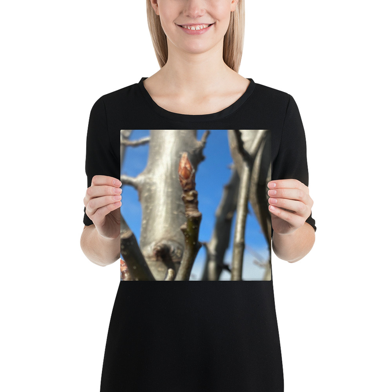 After the Cold Canvas Print