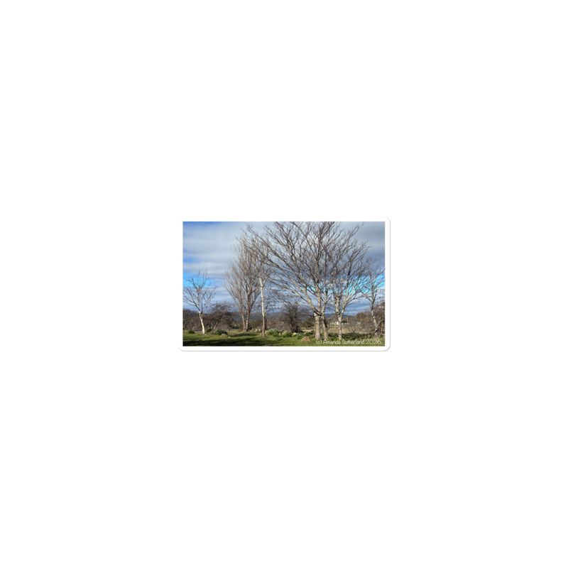 Hidden in Plain Sight Sticker – 15″×3.75″, White