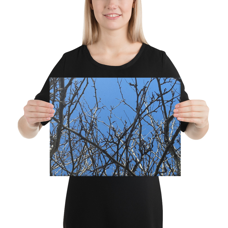 Branching Thoughts Canvas Print – 12″×16″