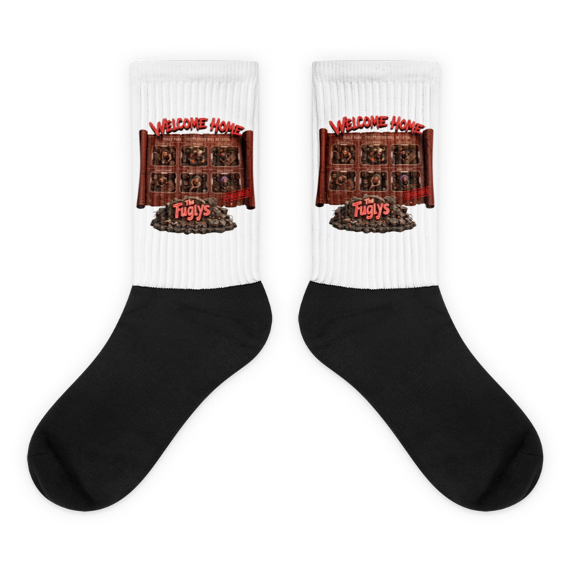 Welcome Home Socks
