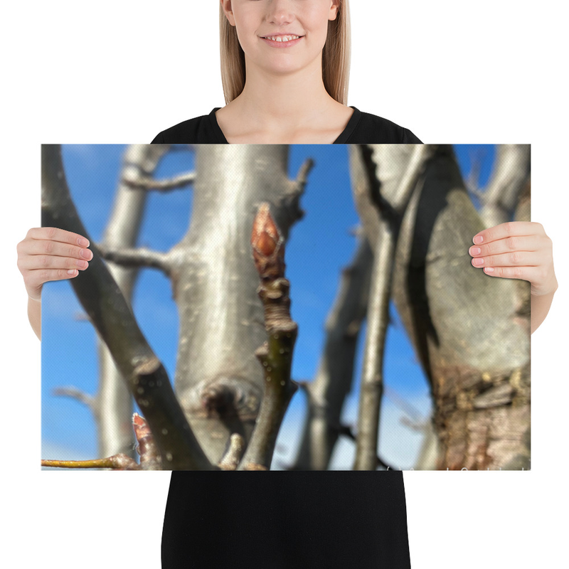 After the Cold Canvas Print – 16″×24″