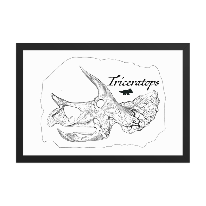 Triceratops - Framed Print