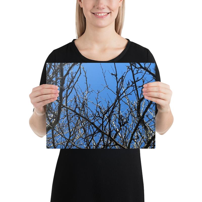 Branching Thoughts Canvas Print – 11″×14″