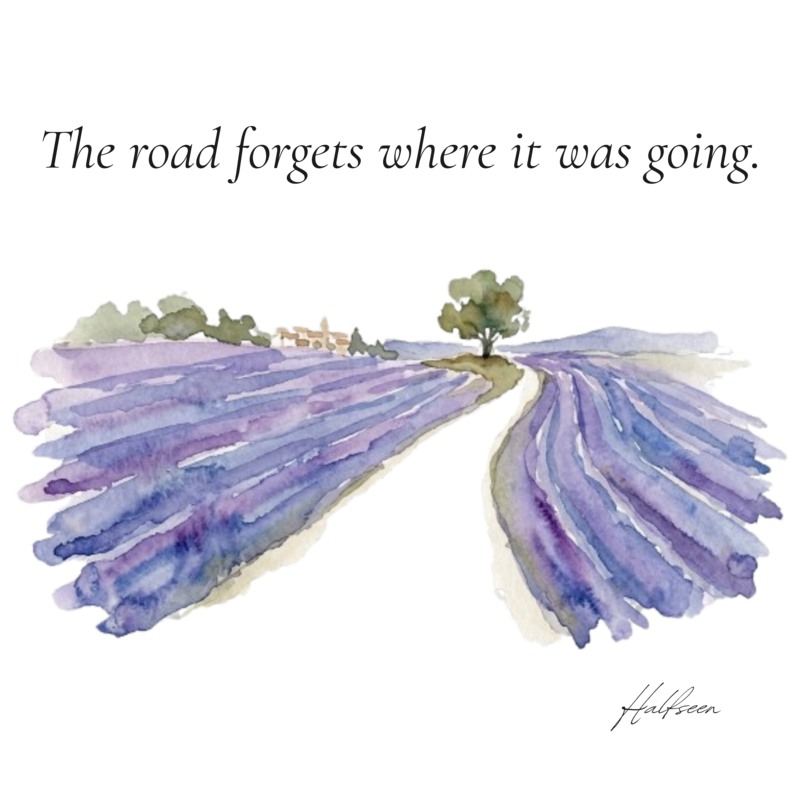 The Lavender Road — illustrationBack