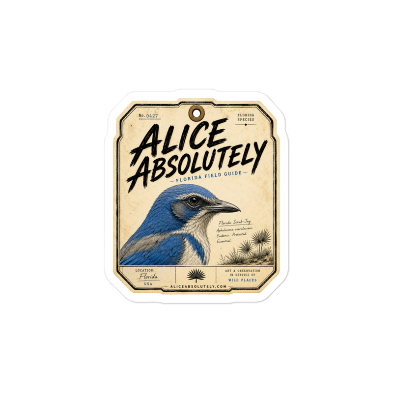 Florida Scrub-Jay Vinyl Decal – 4″×6″, Satin