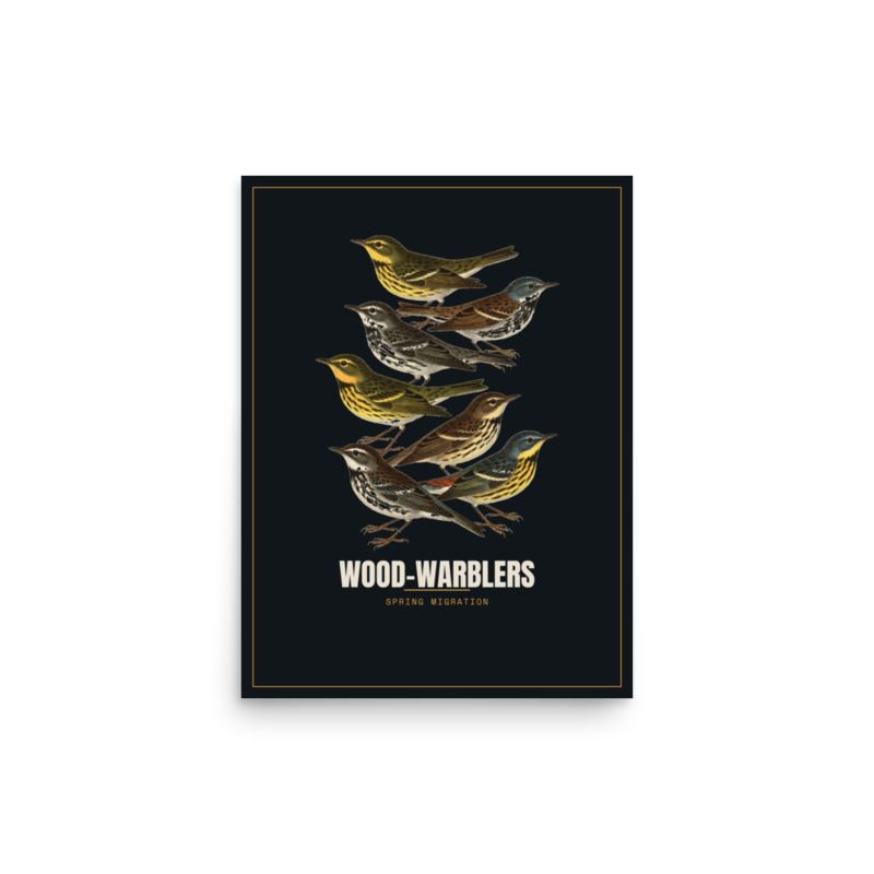 Wood-Warblers Poster — Birding merch
