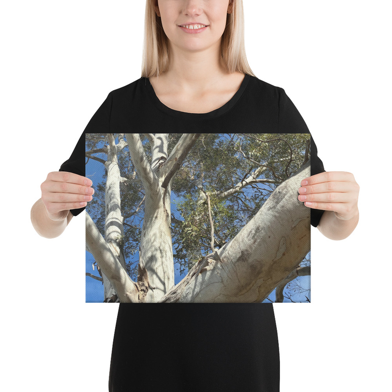 Choose Your Path Canvas Print – 12″×16″