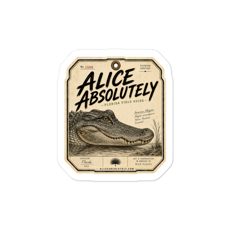 American Alligator Vinyl Decal