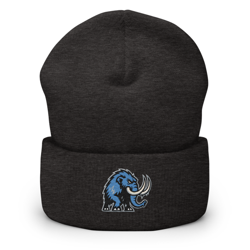 Twin Cities Tundra - Cuffed Beanie – One size, Dark Grey