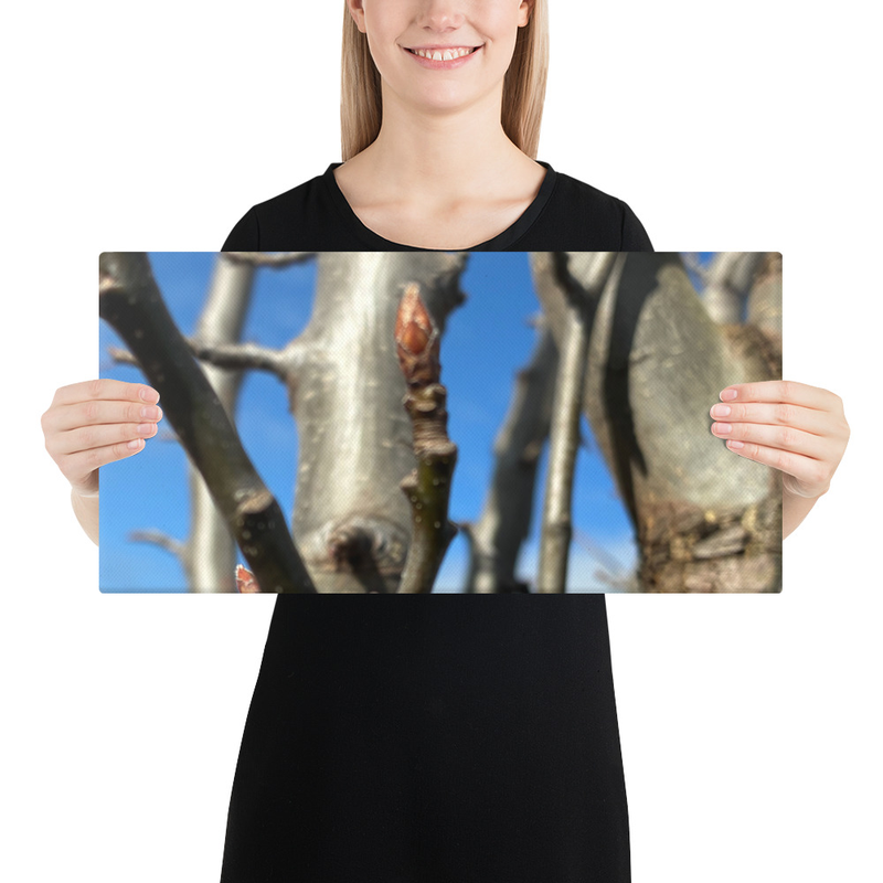 After the Cold Canvas Print – 10″×20″