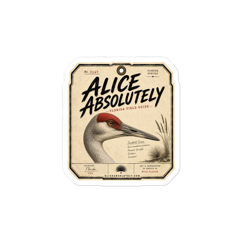 Sandhill Crane Vinyl Decal – 4″×6″, Satin