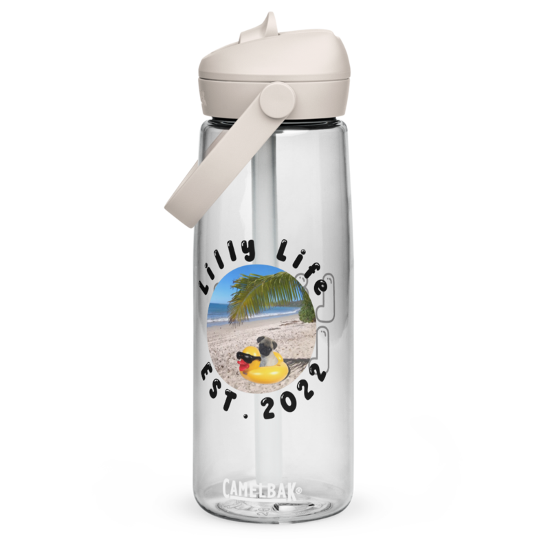 Lilly Life Flip Straw Bottle
