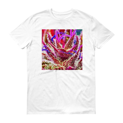 iZoot.com Ganjart ‘Budrasten1q2” Short sleeve t-shirt — t-shirts & tees by Ira Zoot