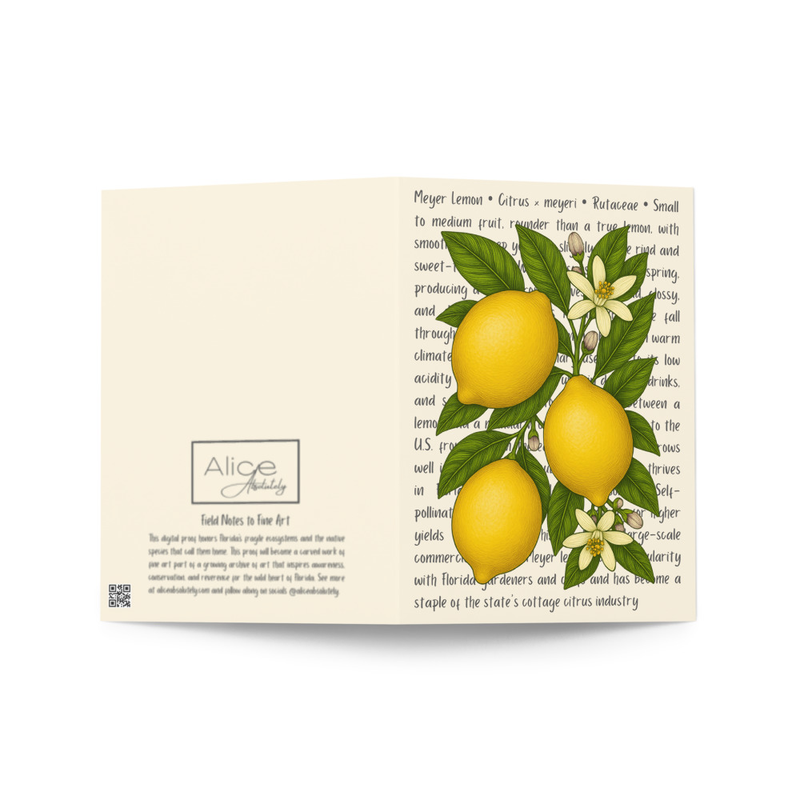 Meyer Lemon Greeting Card