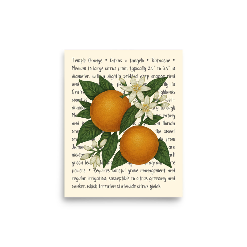 Temple Orange Open Edition Proof