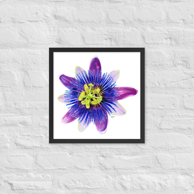 Passion For Life Framed Print – 16″×16″, Black