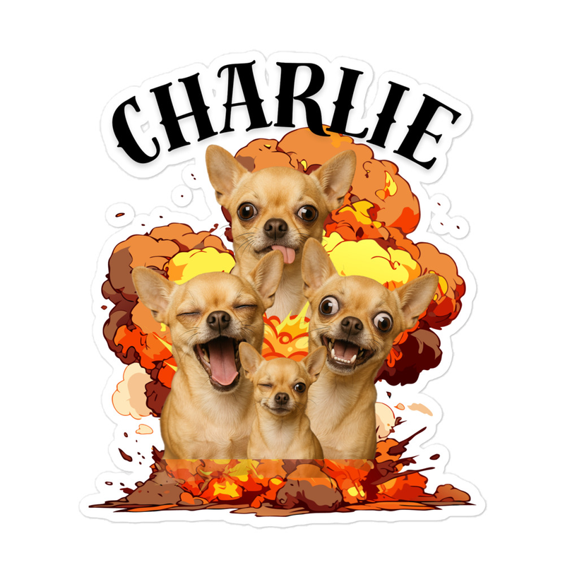 Custom Pet Explosion - Bubble-free stickers