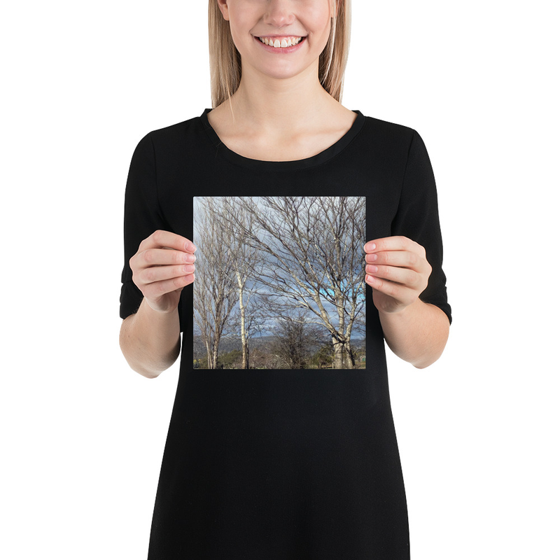 Hidden in Plain Sight Canvas Print – 8″×8″