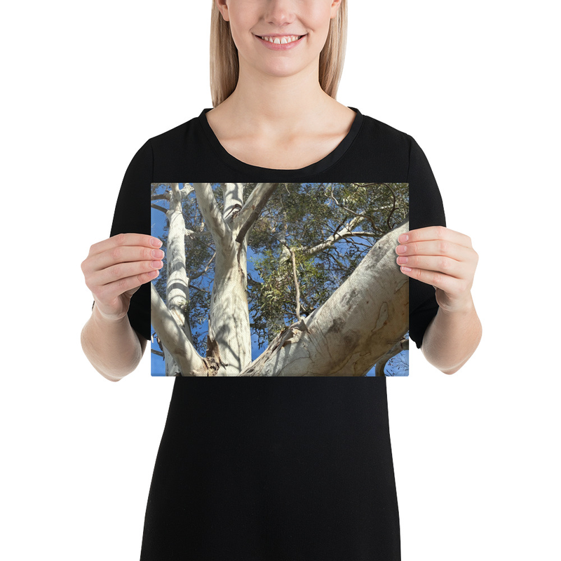 Choose Your Path Canvas Print – 9″×12″