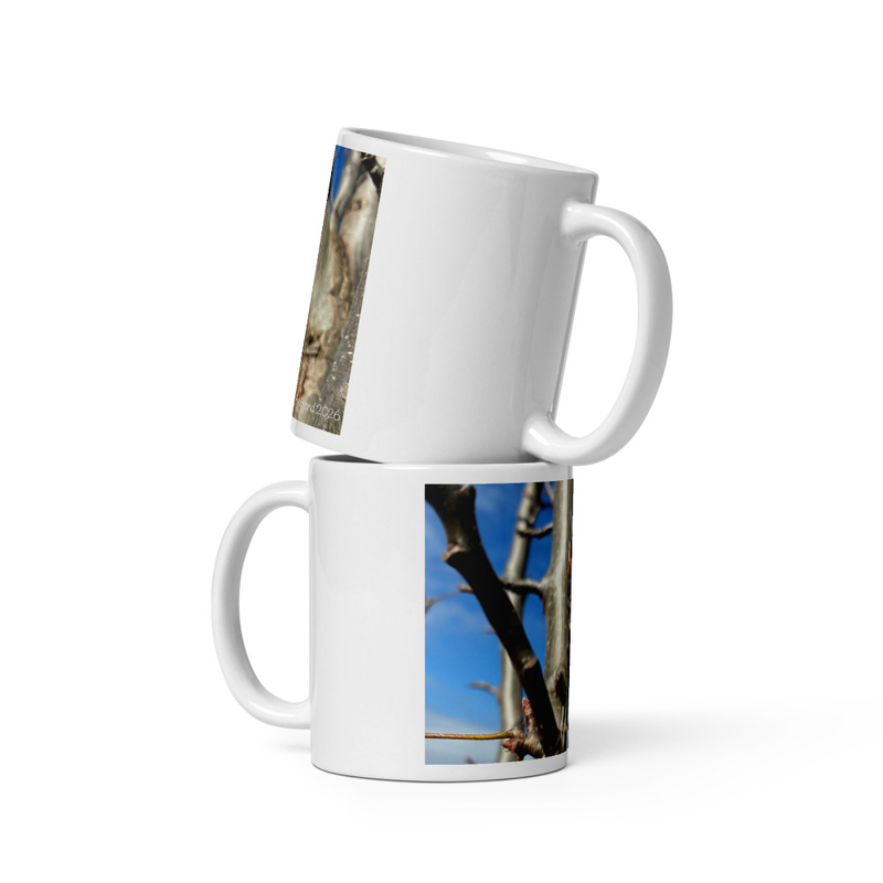 After the Cold Mug