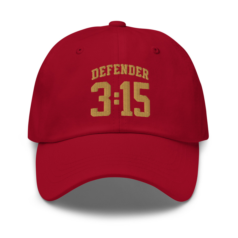 Defender 3:15 Dad Hat – One size, Cranberry