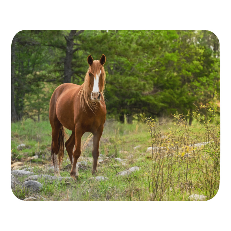 Sorrel Mouse pad