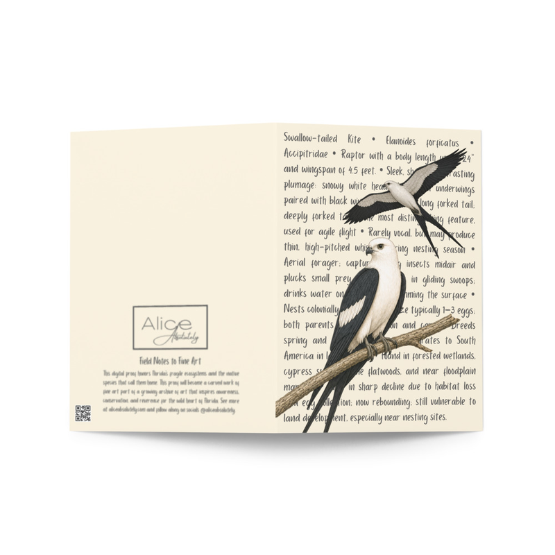 Swallow-tailed Kite Greeting Card