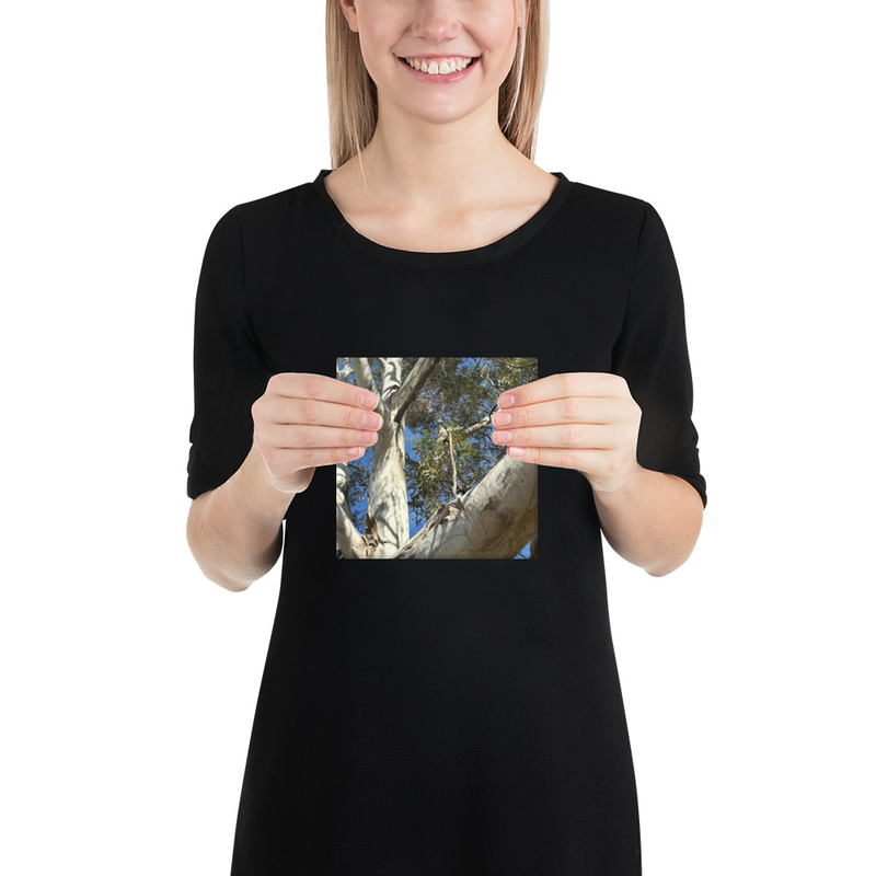 Choose Your Path Canvas Print