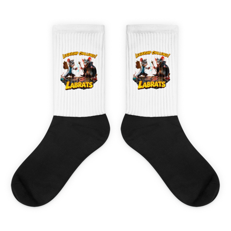 Leadership Challenge Socks