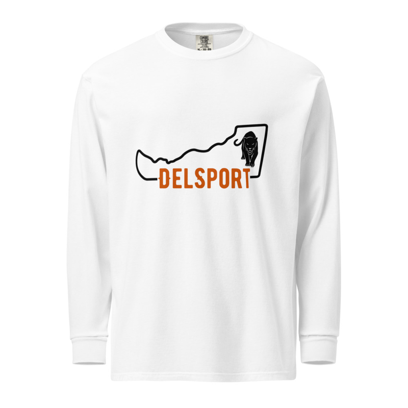 DELSPORT heavyweight long-sleeve shirt