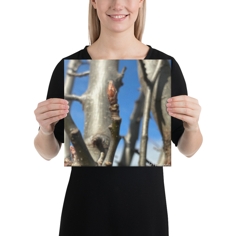 After the Cold Canvas Print – 12″×12″