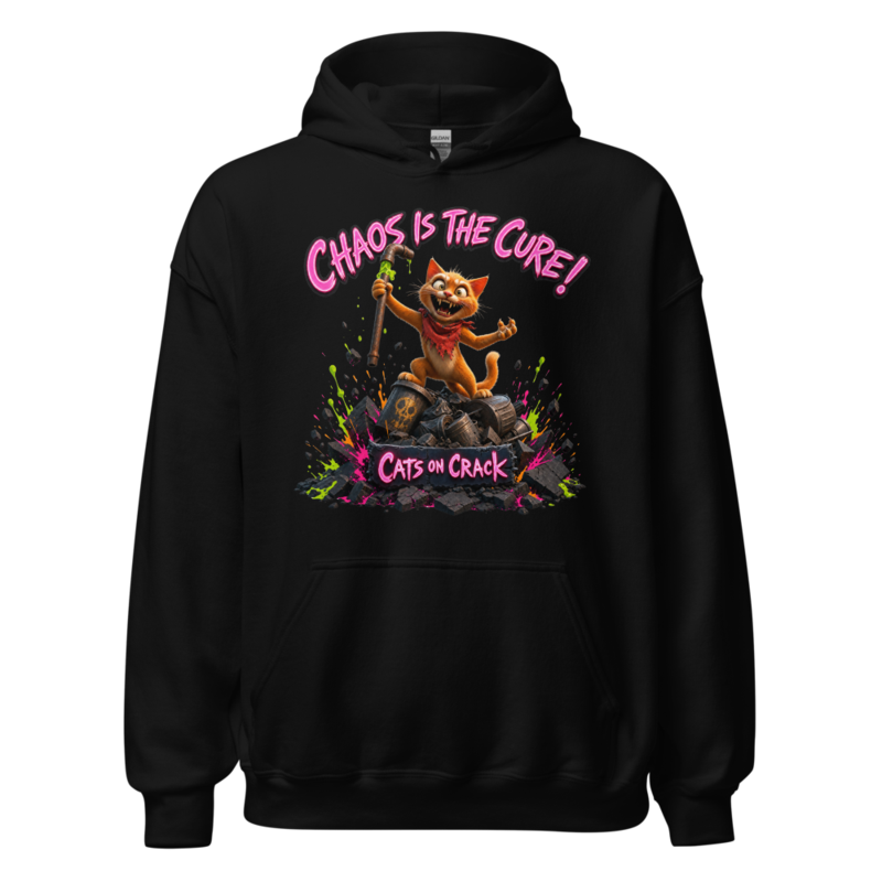 Chaos Is The Cure Hoodie