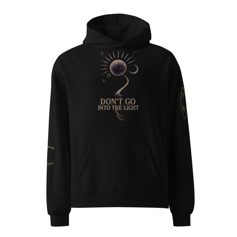 Don't Go Into The Light Pullover Hoodie Origins of Orion