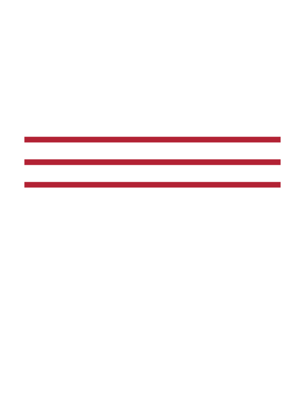 We the People heavyweight tee — Size: 2XL, Color: True Navy