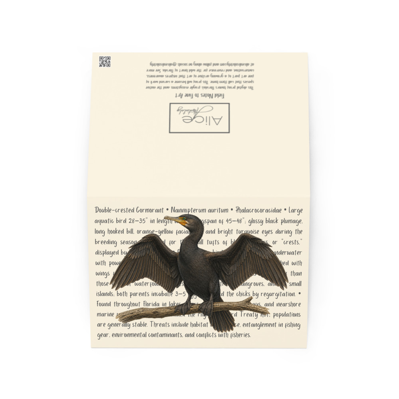 Double Crested Cormorant Greeting Card