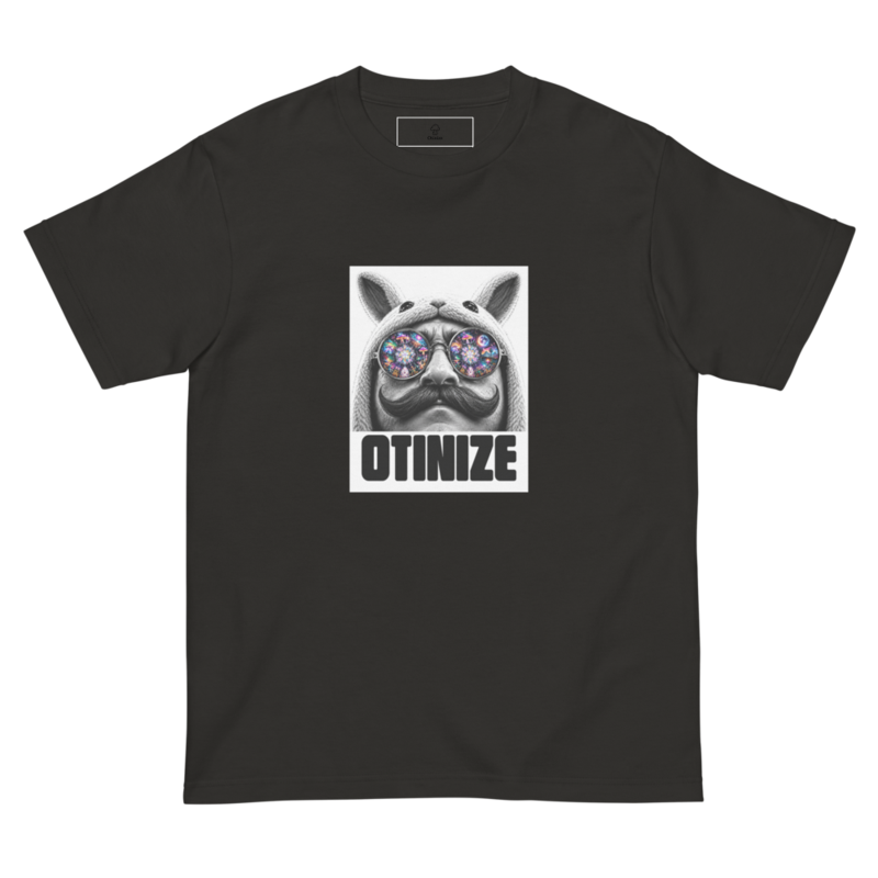 Otinize space sunglasses（スモークブラック）