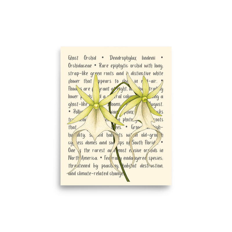 Ghost Orchid Open Edition Proof