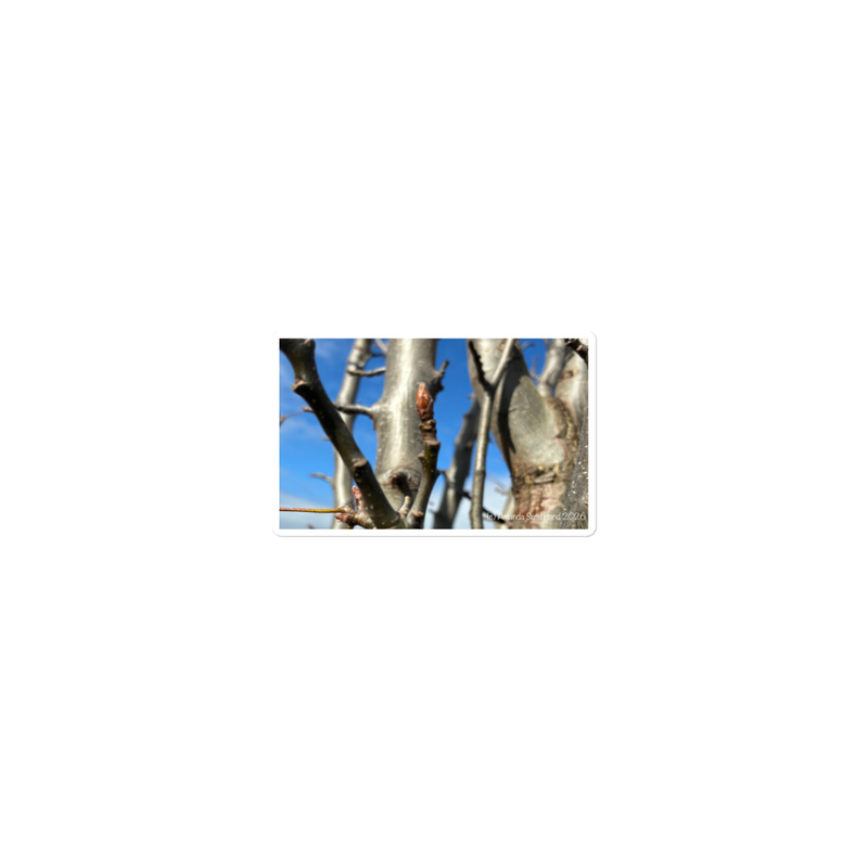 After the Cold Sticker – 15″×3.75″, White