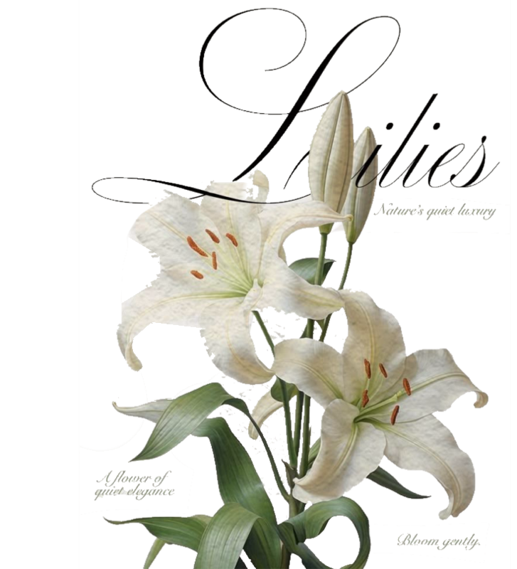 Lilies micro-rib tank top