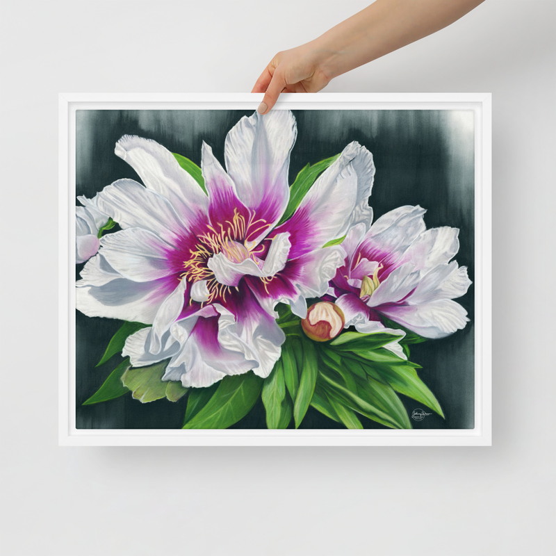 Peony Envy Framed Canvas – 16″×20″, White