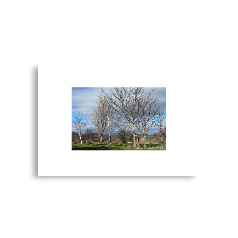 Hidden in Plain Sight Poster – A1 (23.3″×33.1″)