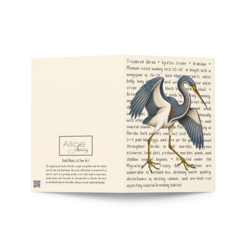 Tricolored Heron Greeting Card